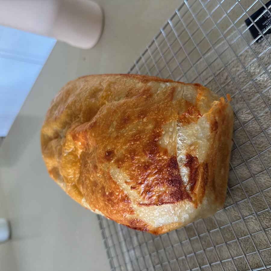 Plain sourdough bagels