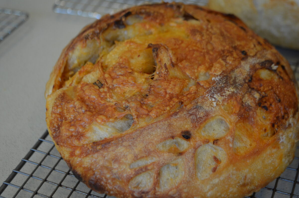 Cheese sourdough loaf