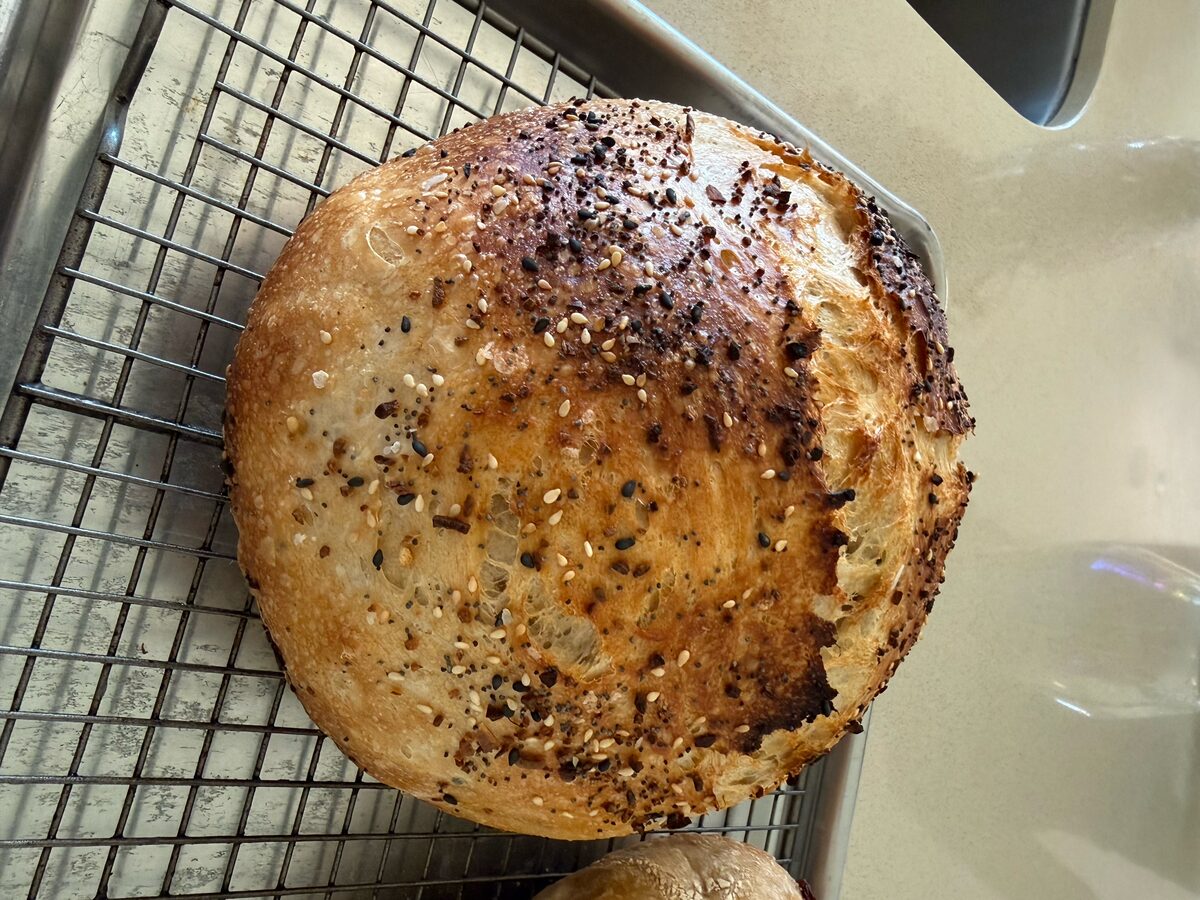 Freshly baked sourdough loaves